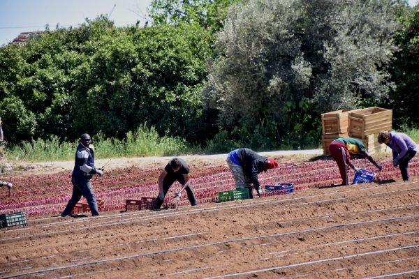 Προωθητικές ενέργειες για τα αγροτικά προϊόντα σε ΕΕ και τρίτες χώρες