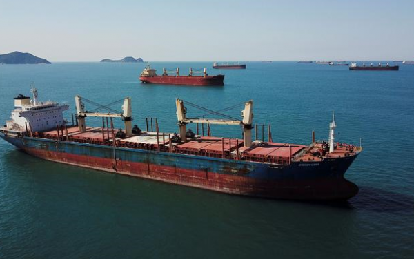 Κίνα : Ρυθμιστής στην αγορά bulkers