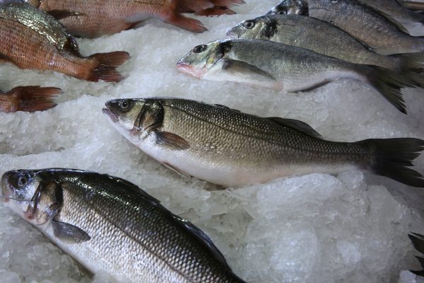 Ψάρια αξίας 12,13 εκατ. ευρώ εξήγαγε πέρσι η Ελλάδα στη Γερμανία