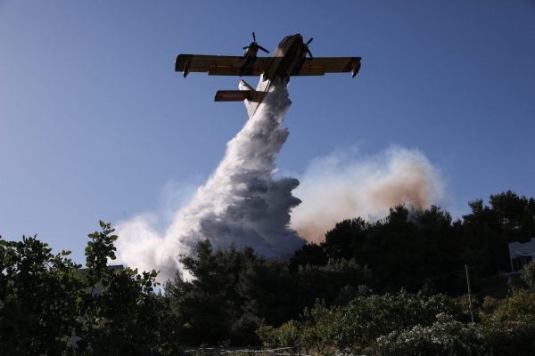 Στέλιος Πέτσας: Πλέγμα μέτρων για τους πυρόπληκτους Κορινθίας – Αττικής – Τι περιλαμβάνει