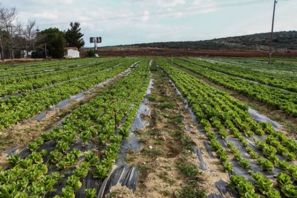 Οι τρεις άξονες του Προγράμματος Αγροτικής Ανάπτυξης