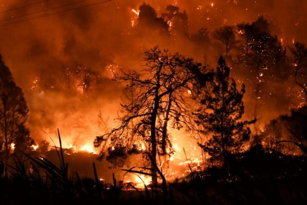 Τι πρέπει να κάνουν αγρότες, κτηνοτρόφοι και μελισσοκόμοι στην αντιπυρική περίοδο