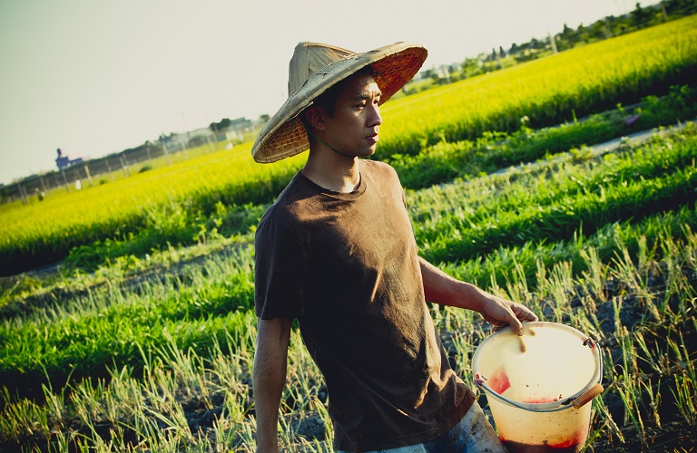 Εργάτες γης: Πώς γίνεται η αίτηση για μετάκληση