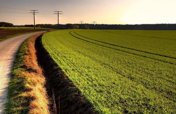 Agrologistics: Προκλήσεις και προοπτικές στην Ελλάδα