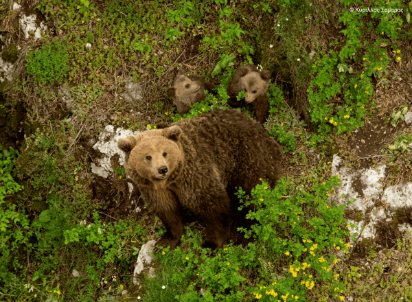 The beauty of the Greek Natura 2000 areas in 40 impressive photos