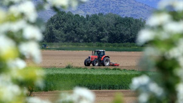 Η σημασία της αγροτικής παραγωγής για την ανάπτυξη