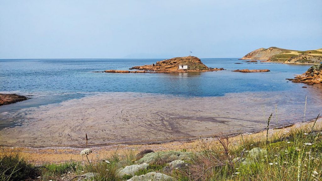 Πως θα αντιμετωπιστεί το φαινόμενο βλέννας στη Λήμνο