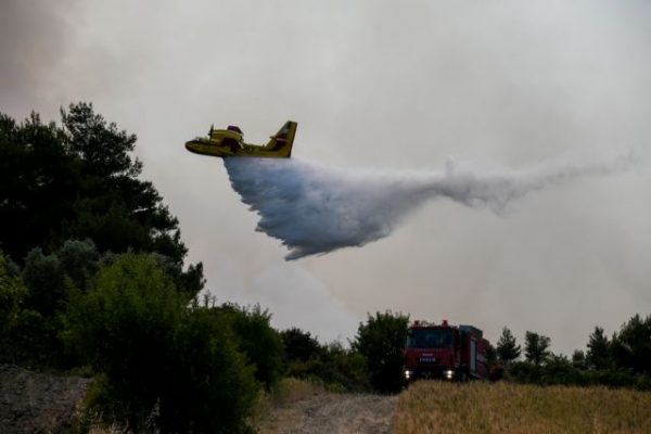 Φωτιά στη Χασιά