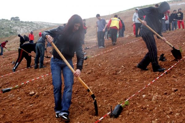 Govt announces massive reforestation campaign, amid ongoing wildfire season