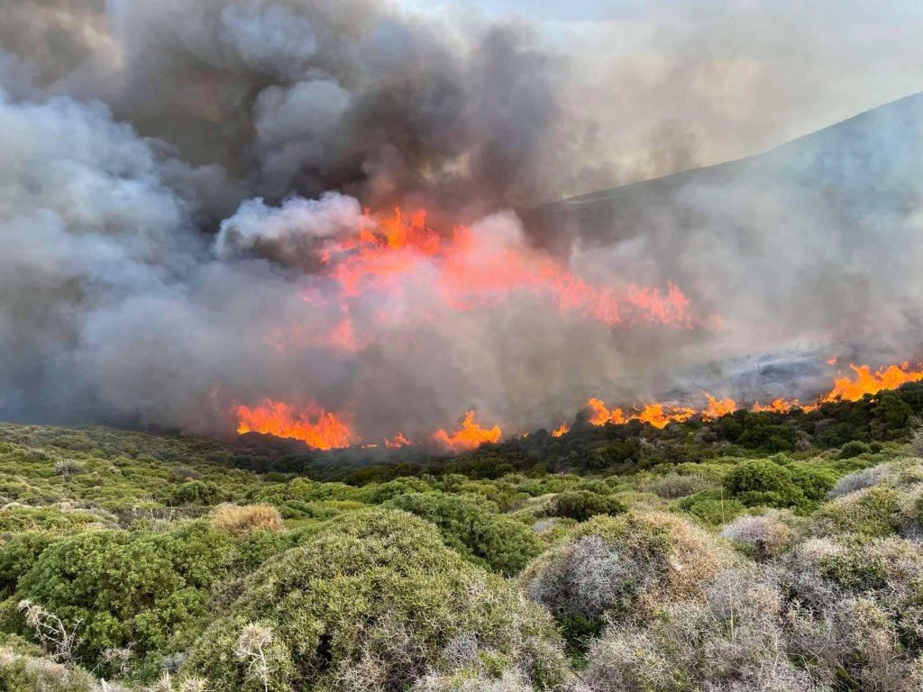 Πυροσβεστική: 58 δασικές πυρκαγιές το τελευταίο 24ωρο