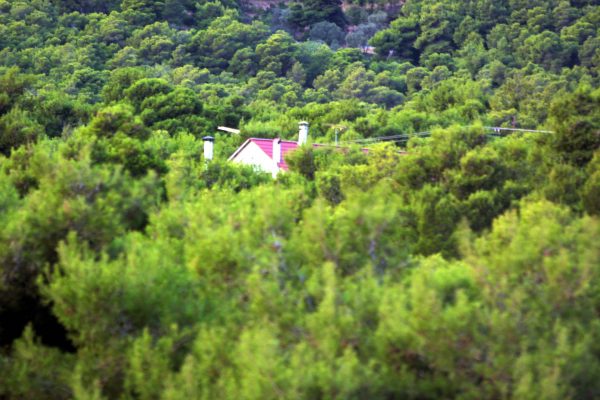 Κτίσματα σε δάση: Πώς περιουσίες μπορούν να τεθούν σε καθεστώς «ειδικής ευκαιρίας»