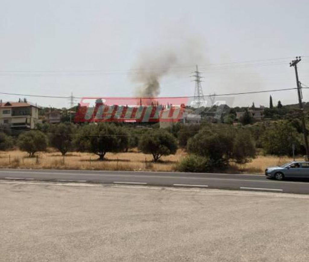 Patras: Big fire in Profitis Ilias – Evacuation order given