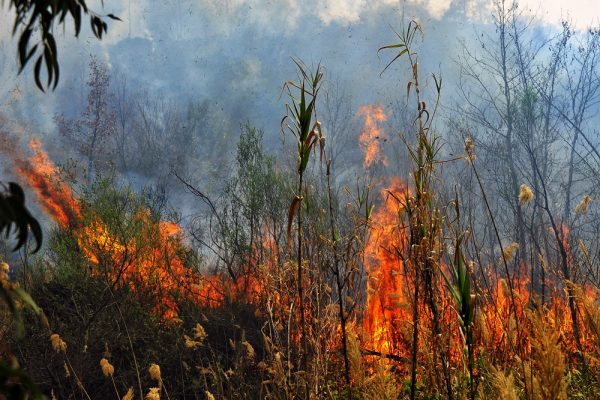 Αχαΐα – Νέα πυρκαγιά στη Ζήρια – Εκκενώνεται οικισμός