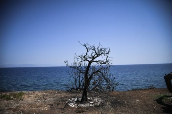 Αυτό είναι το νέο σχέδιο για το Μάτι