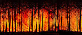 Καταλονία: Πυρκαγιά κατακαίει φυσικό πάρκο -350 άνθρωποι εγκατέλειψαν τα σπίτια τους