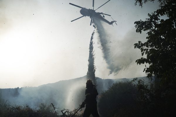 Αυτόν τον χειμώνα να συζητάμε για τα δάση