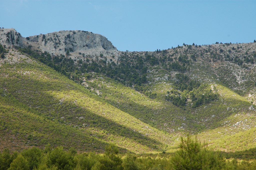 Τι προβλέπεται για τους δασωμένους αγρούς, τι σχεδιάζεται για τις εκχερσωμένες εκτάσεις, τι ισχύει σήμερα για τα δασικά