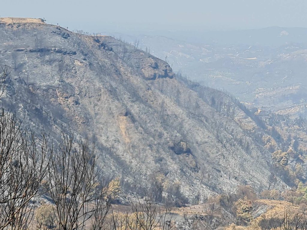 ΓΓΠΠ – Υψηλός κίνδυνος πυρκαγιάς αύριο για 4 Περιφέρειες