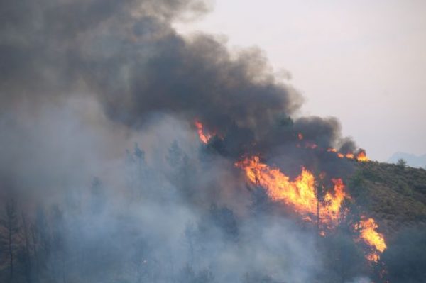 Τα όμορφα δάση όμορφα καίγονται…