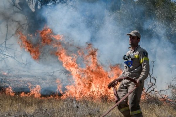 Δασικές πυρκαγιές – Πρόληψη, καταπολέμηση και αντιμετώπιση περιβαλλοντικών συνεπειών