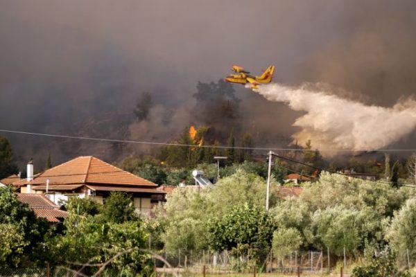 Φωτιά στην Ηλεία – Εκκενώνονται ακόμη οκτώ κοινότητες του δήμου της Αρχαίας Ολυμπίας