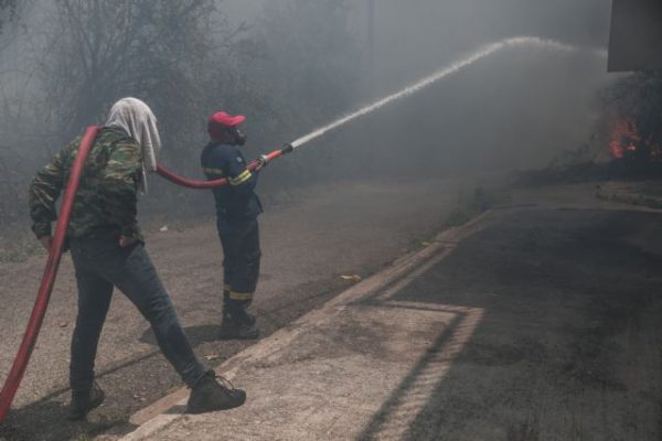 Wildfires – Two arrests in Kryoneri and Fokida – Suspect wanted in Ilia