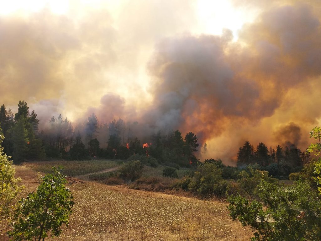 Evia – Fire in a forest area in Platana – Fiery resurgence