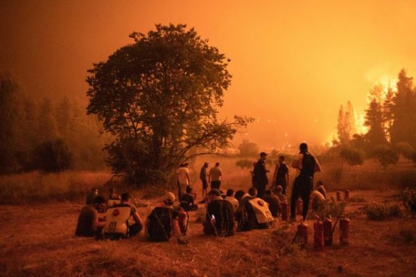 Πέτσας – Τα σχέδια για όσους επλήγησαν επαγγελματικά από την καταστροφή του δάσους