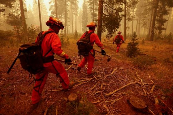 Φωτιές στην Ελλάδα – Οι δασολόγοι του ΑΠΘ εισηγούνται άμεσα μέτρα