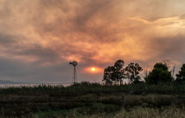 Φωτιά στην Εύβοια – Εκκένωση οικισμών, τραυματίστηκαν πυροσβέστες [Video]