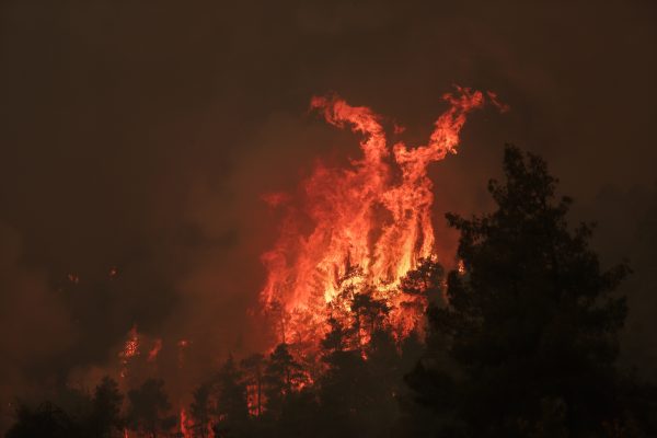 Φωτιά στην Εύβοια – Η εξέλιξη του πύρινου μετώπου από δορυφόρο της NASA