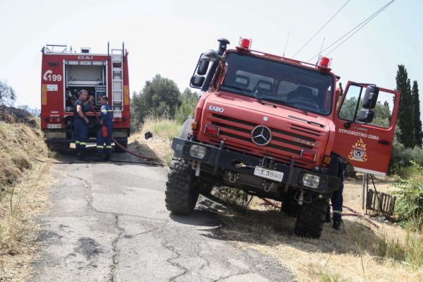 Φωτιές – Παρατείνεται έως 20/8 η απαγόρευση της μετακίνησης σε δάση