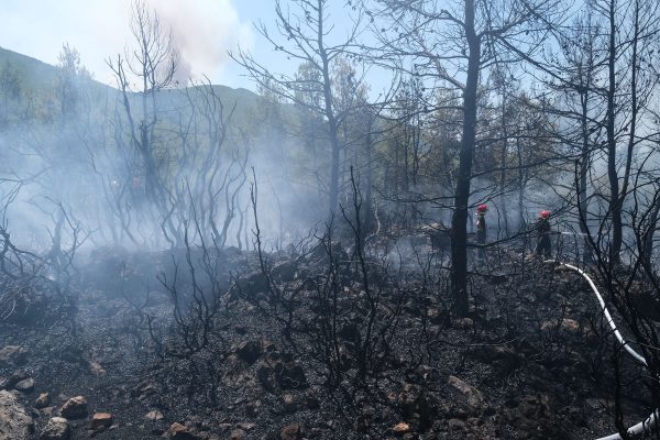 Φθιώτιδα – Προσήχθη 13χρονος για τις φωτιές στον Θεολόγο – Πώς βρέθηκε στο στόχαστρο