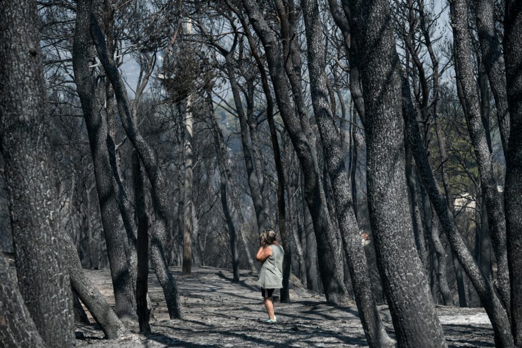 Διαβάστε στο Βήμα – Το «ντόμινο» που κατέκαψε 1.300.000 στρέμματα δάσους