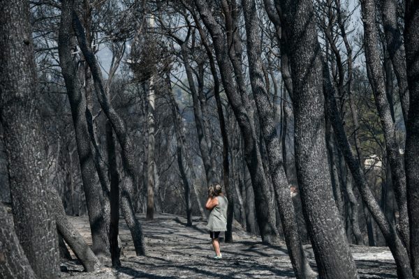 Διαβάστε στο Βήμα – Το «ντόμινο» που κατέκαψε 1.300.000 στρέμματα δάσους