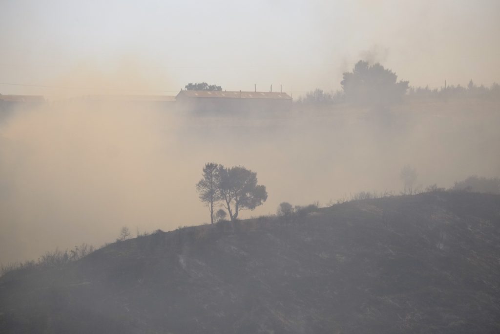 Η εγκατάλειψη της γεωργίας ευνοεί τις δασικές πυρκαγιές