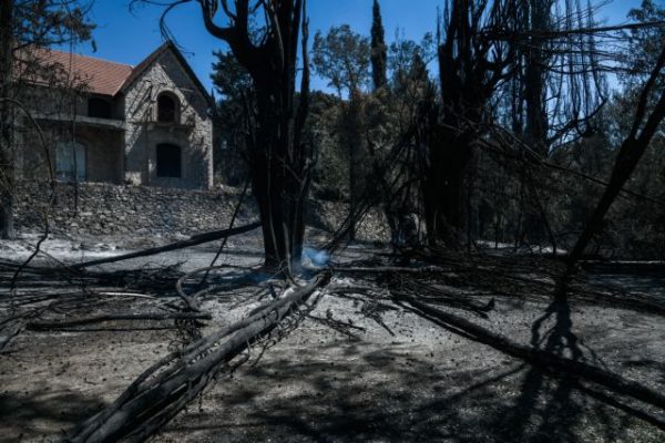 Ελληνική Εταιρεία Περιβάλλοντος και Πολιτισμού – Θρηνούμε το Τατόι που ξέραμε