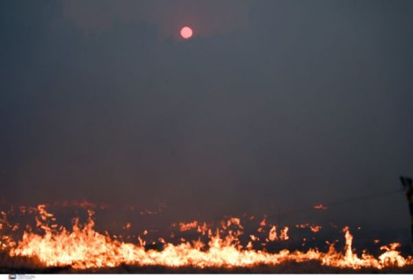 Δωρεάν 24ωρη ψυχολογική υποστήριξη στους πληγέντες των πυρκαγιών στη γραμμή 10306