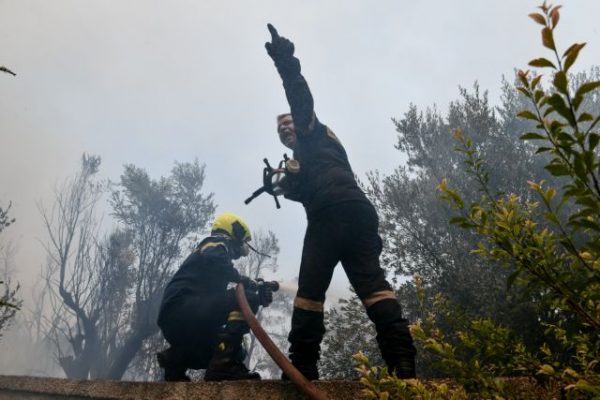 Πυρκαγιές – Δεκαεννέα προσαγωγές υπόπτων για εμπρησμό