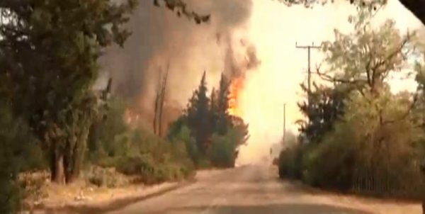 Mega video shows raging wildfire north of Athens