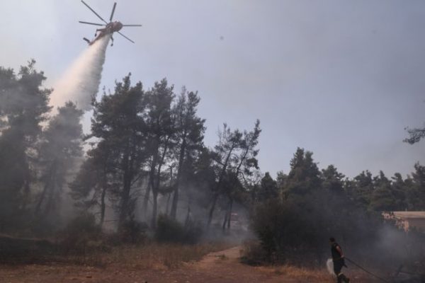 Φωτιά στη Ρόδο – Nέος συναγερμός στην πυροσβεστική