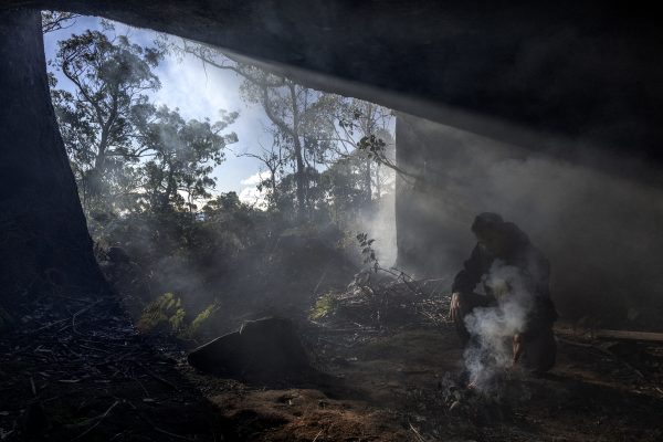 Natura Transita – Έκθεση περιβαλλοντικής φωτογραφίας