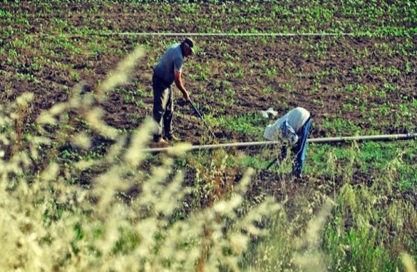 Μειωμένες χρεώσεις ΕΤΜΕΑΡ – Λήγει η προθεσμία για αιτήσεις αγροτών