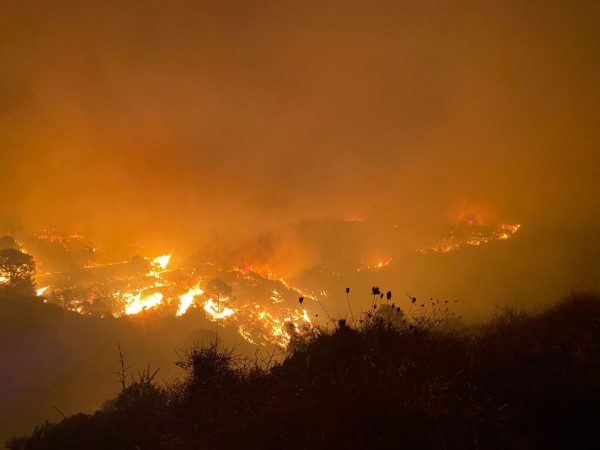 Φωτιά σε δασική έκταση στην περιφερειακή Αιγάλεω