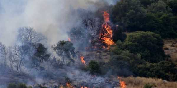 Mount Athos – Forest Fire – Aerial means operating