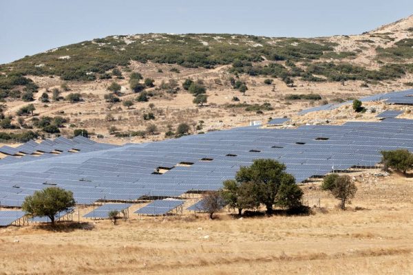 ΣτΕ: Ακυρώνει μεγάλη επένδυση φωτοβολταϊκών σε περιοχή Natura