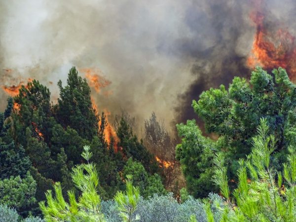 Φωτιά τώρα στην Πάρνηθα