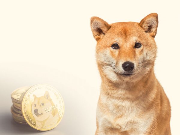 Το SHIBA INU εκθρόνισε το DOGE