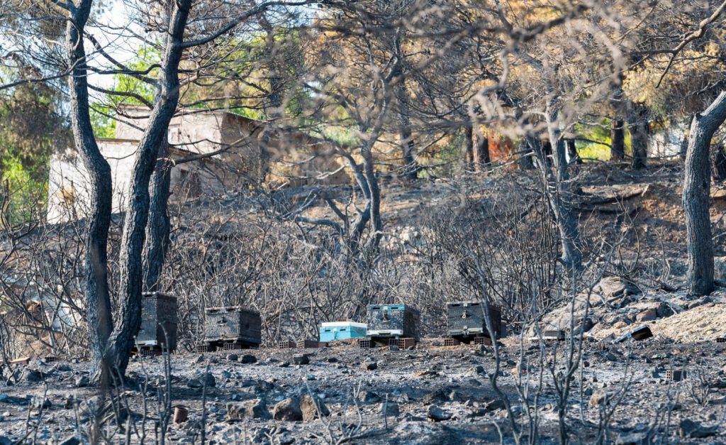 Εύβοια – Μάχη με τον χρόνο για τα αντιπλημμυρικά έργα