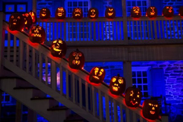 Halloween – Στην Πολωνία η μεγαλύτερη παραγωγή κολοκύθας